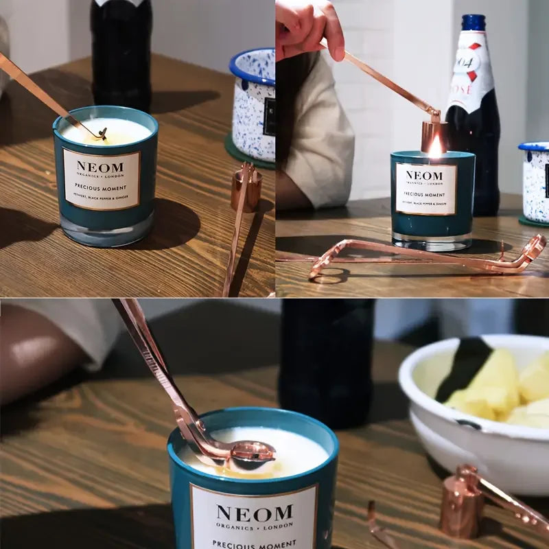 Stainless steel frosted candle wick trimmer